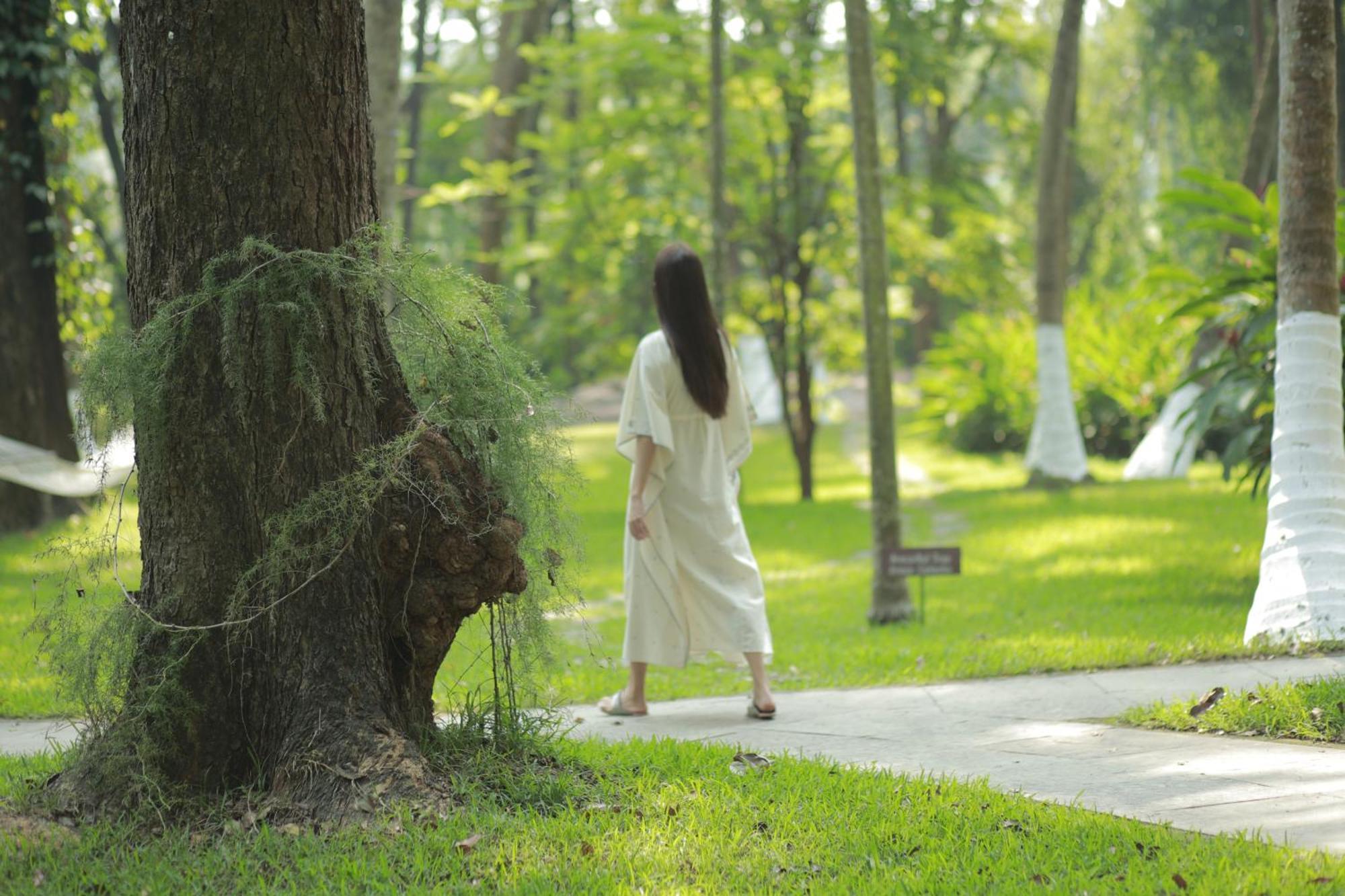 Kairali - The Ayurvedic Healing Village パルガート エクステリア 写真