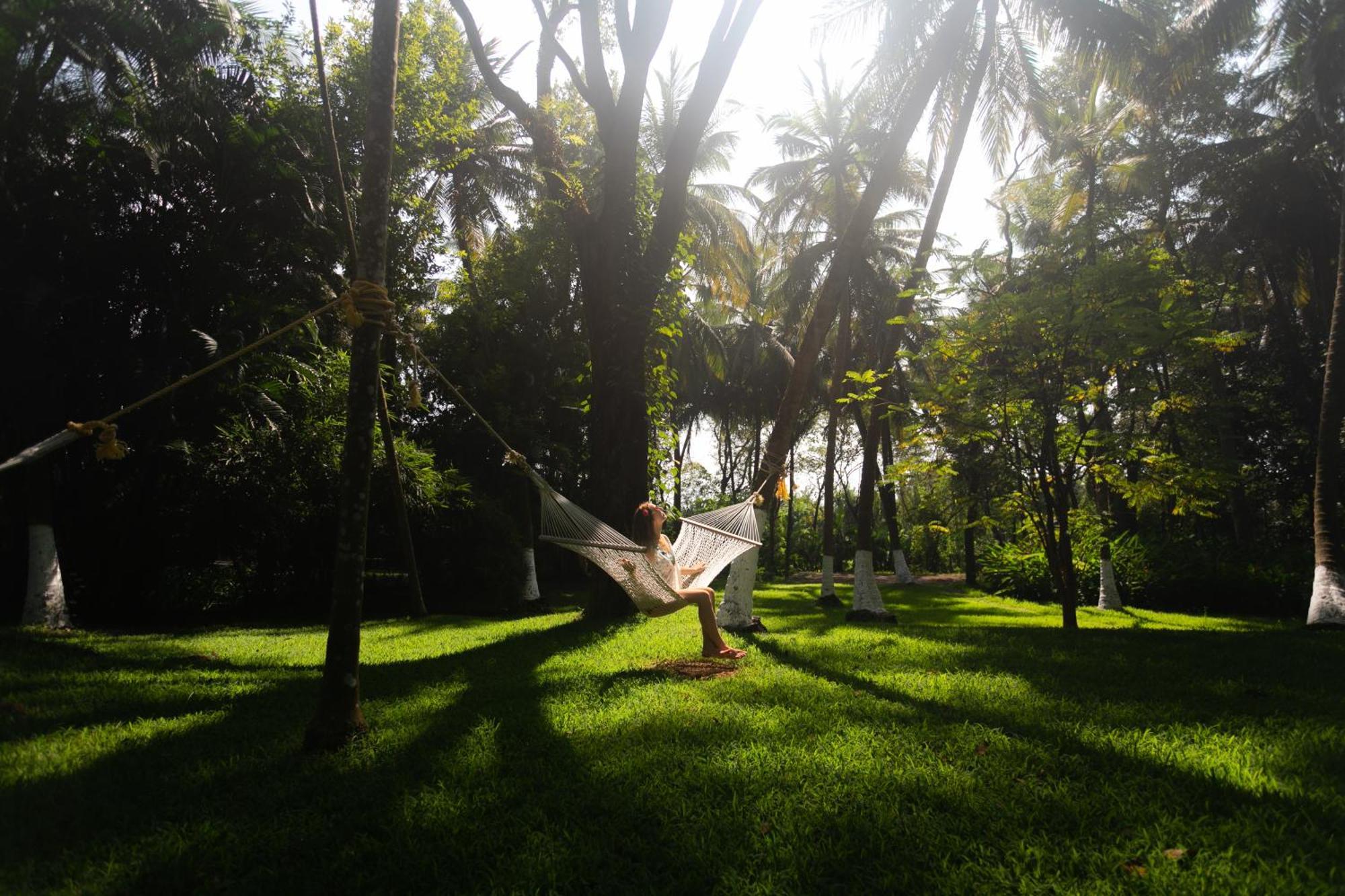 Kairali - The Ayurvedic Healing Village パルガート エクステリア 写真